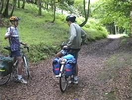 The track to Selworthy continues through Selworthy Combe